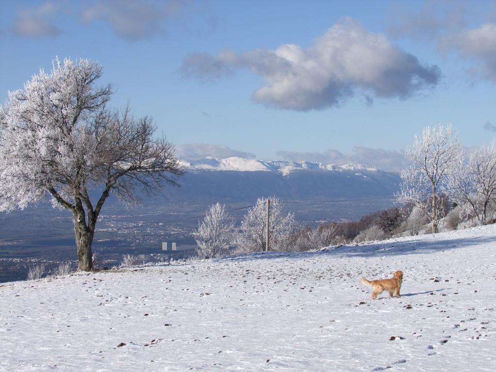 Click to see next picture