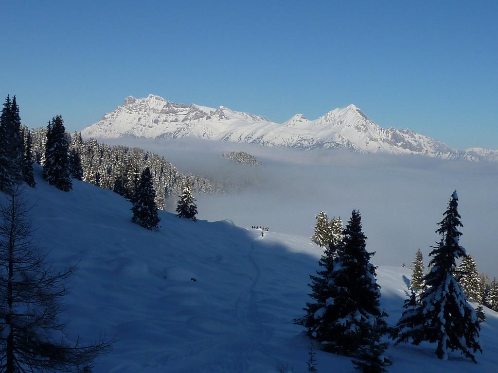 Pour l'image suivante