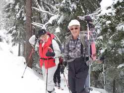 Pour agrandir l'image (1024x768 pixels; 167 KB)