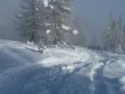 Pour agrandir l'image (1024x768 pixels; 98 KB)