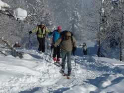 Pour agrandir l'image (1024x768 pixels; 168 KB)