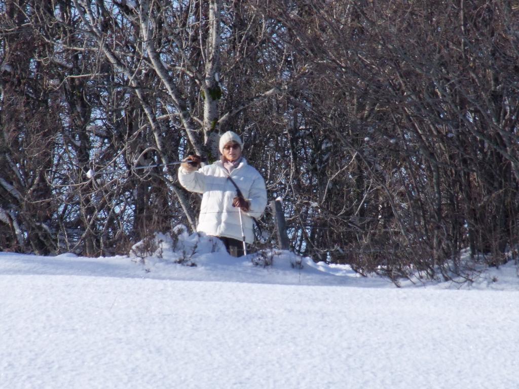 Pour l'image suivante
