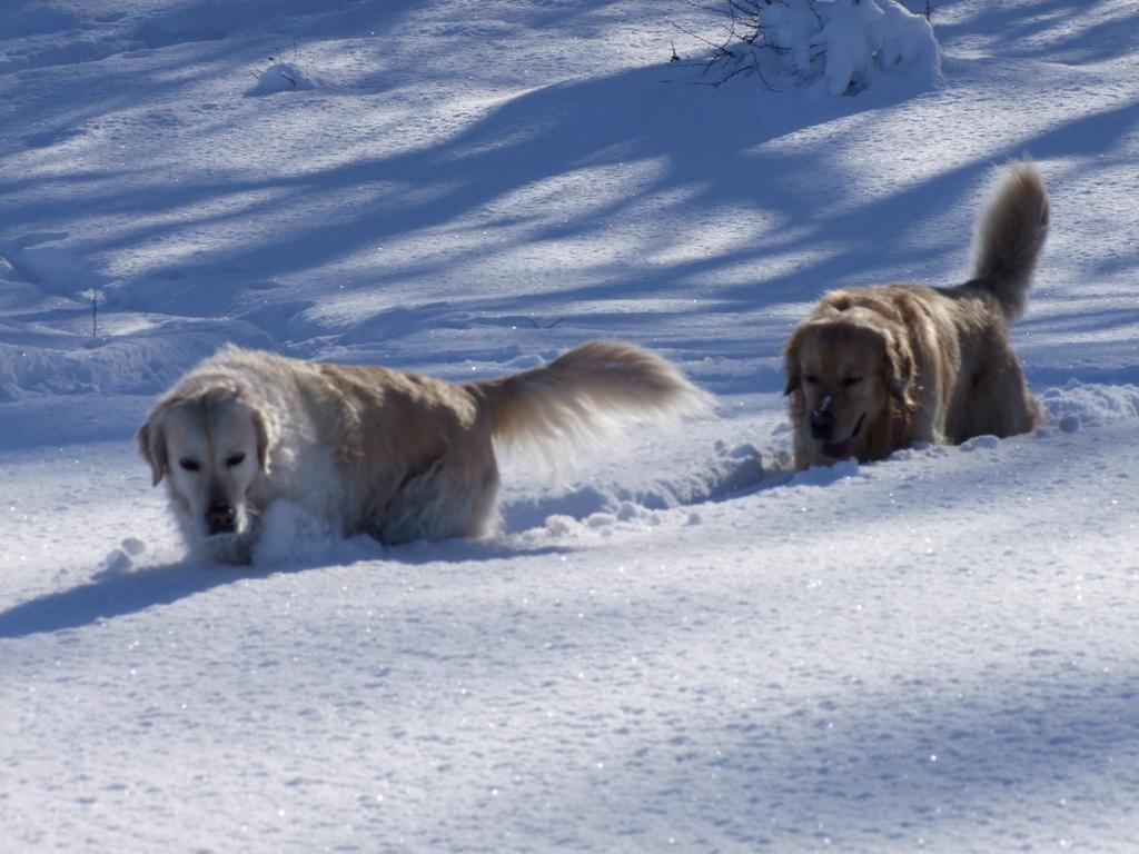 Pour l'image suivante