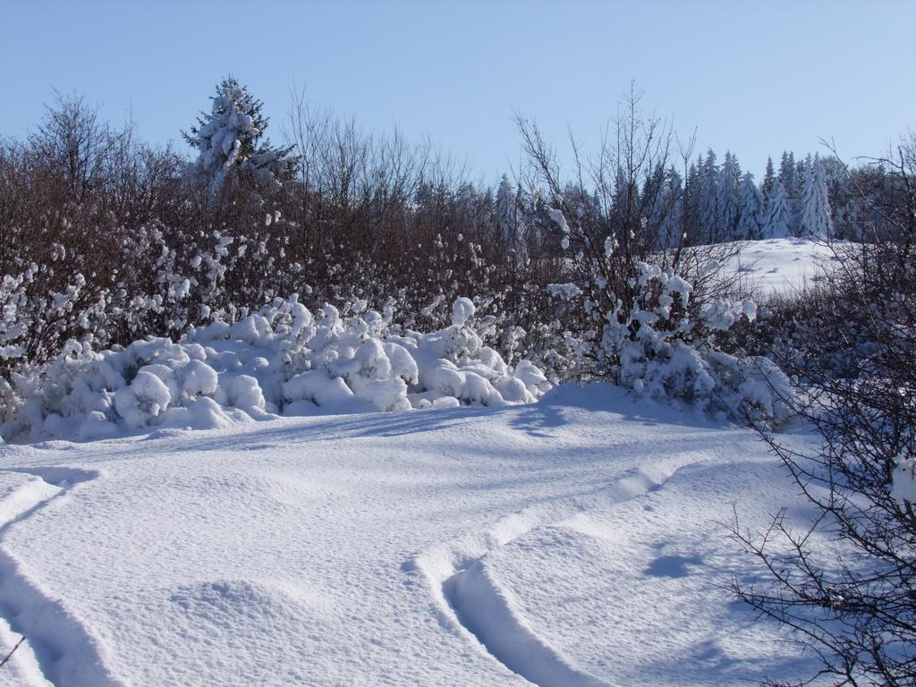 Pour l'image suivante