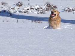 Pour agrandir l'image (1024x768 pixels; 90 KB)