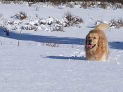 Pour agrandir l'image (1024x768 pixels; 103 KB)