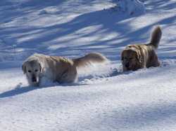 Pour agrandir l'image (1024x768 pixels; 124 KB)