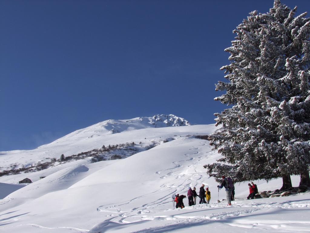 Pour l'image suivante