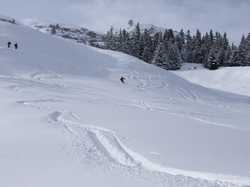 Pour agrandir l'image (1024x768 pixels; 93 KB)