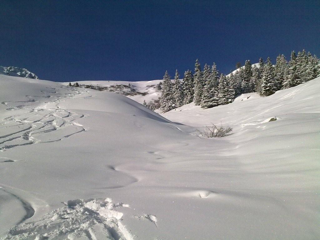 Pour l'image suivante