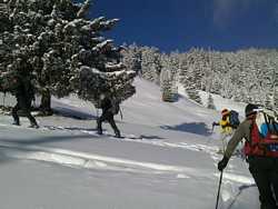 Pour agrandir l'image (1024x768 pixels; 154 KB)