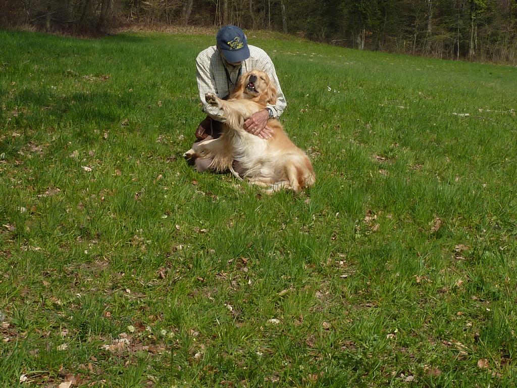 clic ici pour suivante