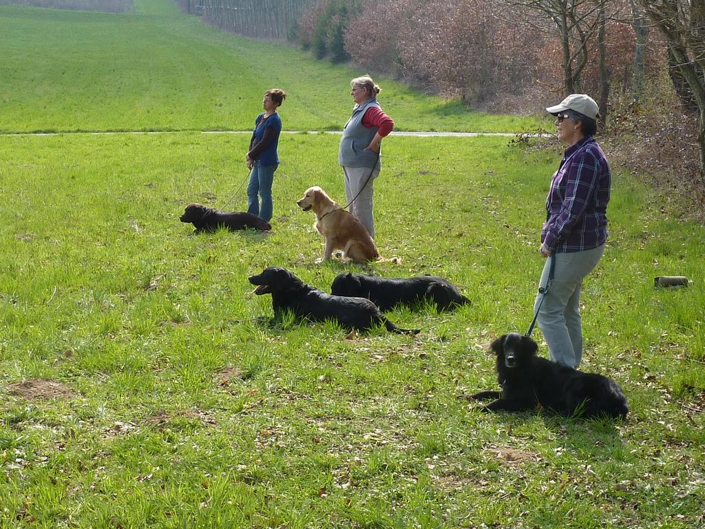 clic ici pour suivante