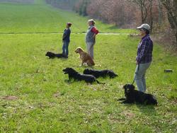 Clic pour agrandir l'image (1024x768 pixels; 223 KB)