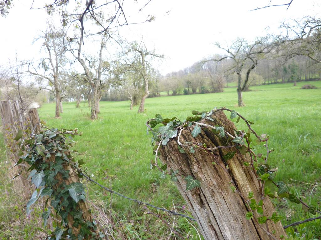 clic ici pour suivante