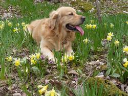 Clic pour agrandir l'image (1024x768 pixels; 230 KB)