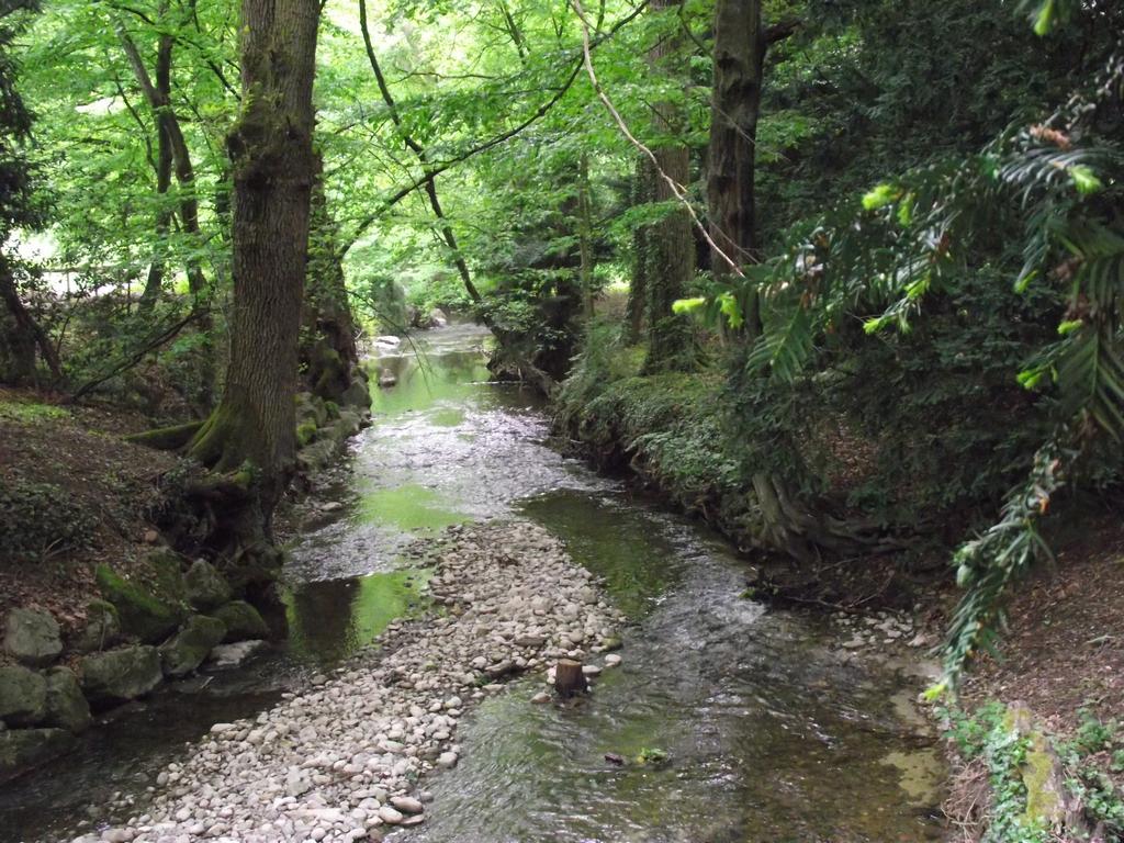 clic ici pour suivante