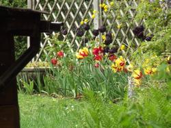 Clic pour agrandir l'image (1024x768 pixels; 200 KB)