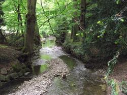 Clic pour agrandir l'image (1024x768 pixels; 232 KB)