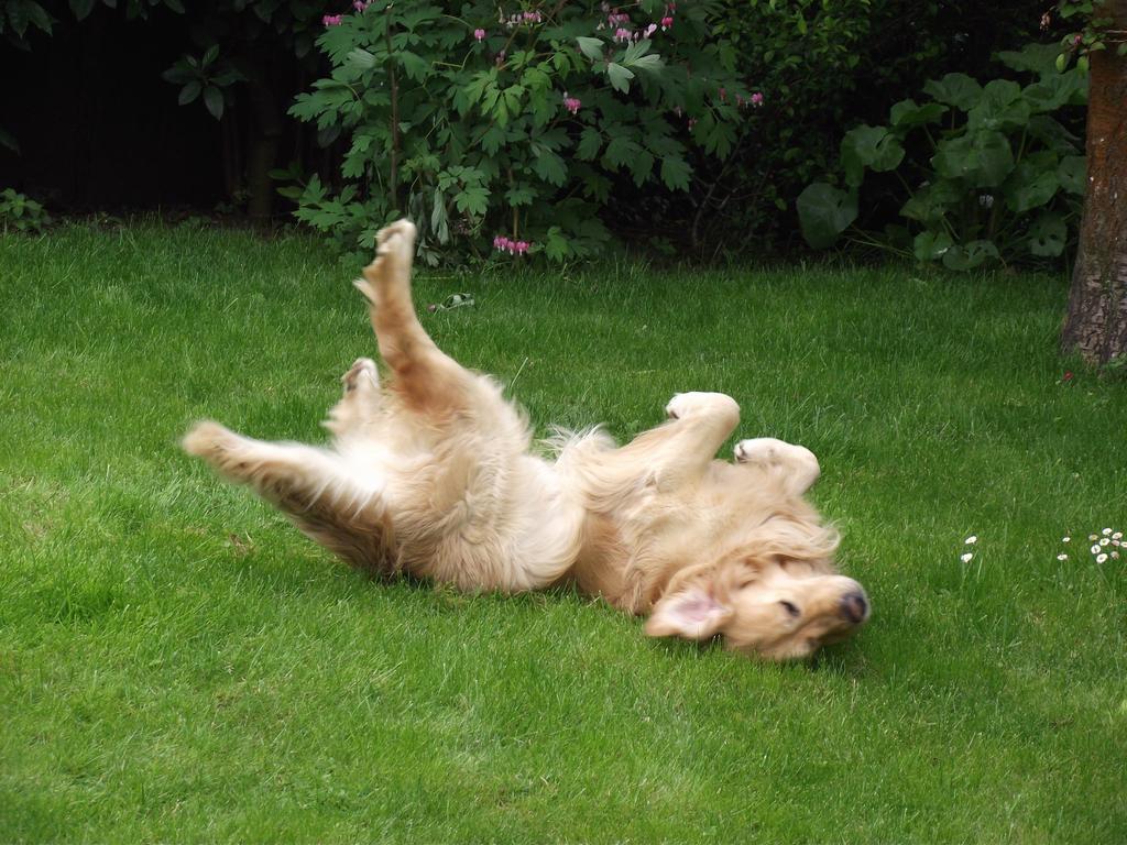 clic ici pour suivante