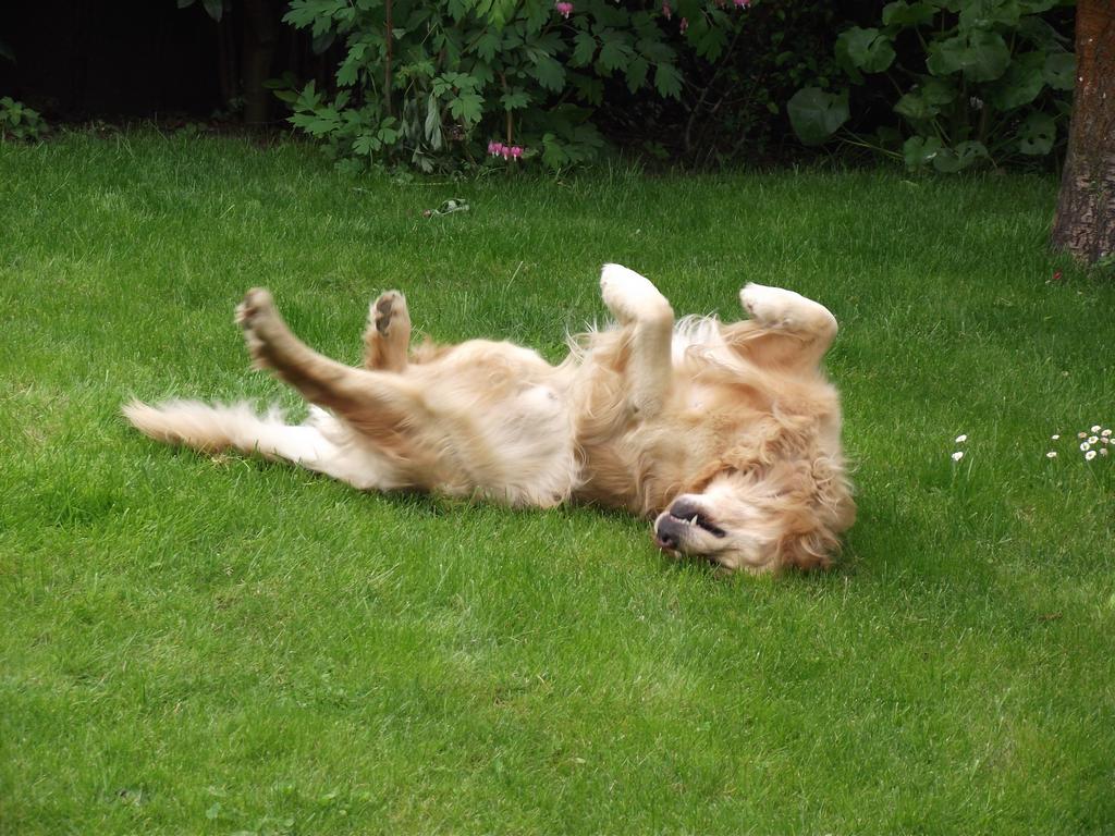 clic ici pour suivante