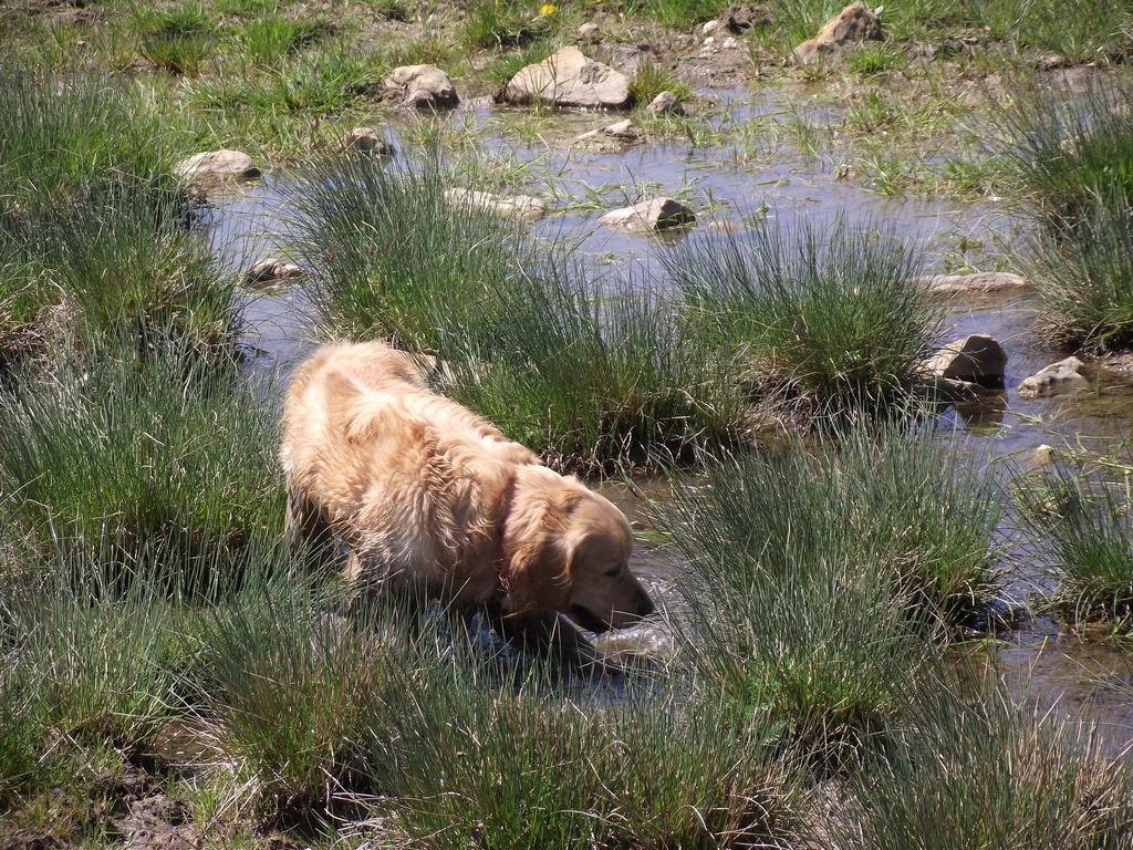 clic ici pour suivante