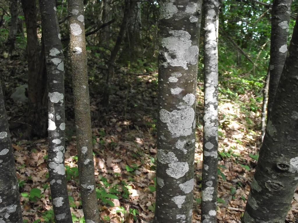 clic ici pour suivante