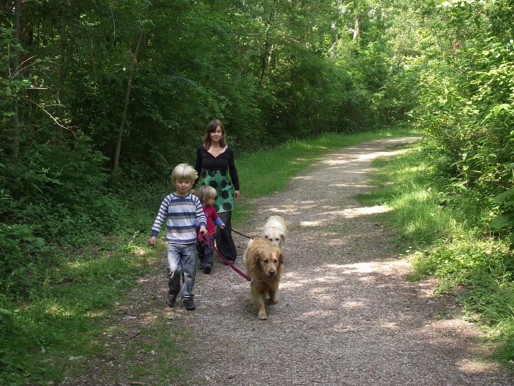 clic ici pour suivante