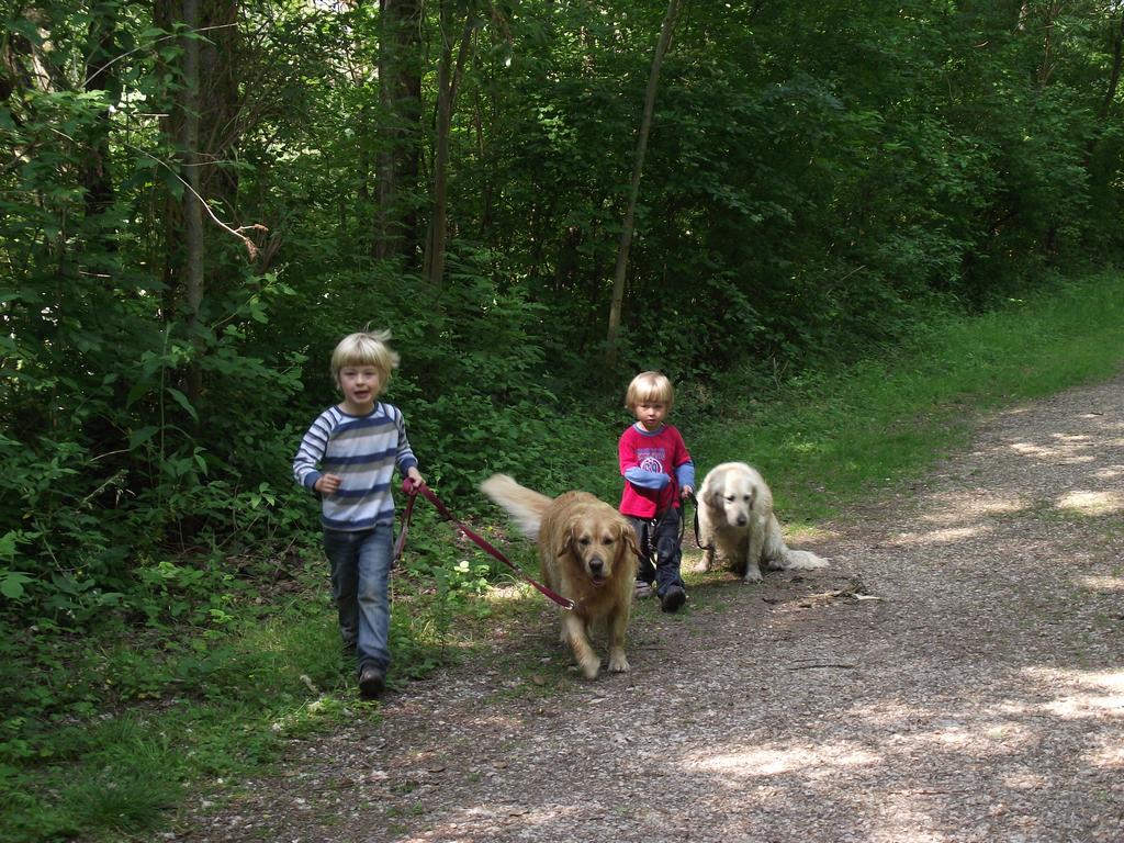 clic ici pour suivante