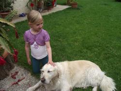 Clic pour agrandir l'image (1024x768 pixels; 163 KB)