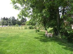 Clic pour agrandir l'image (1024x768 pixels; 256 KB)