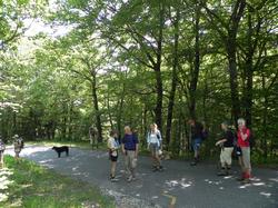 Clic pour agrandir l'image (1024x768 pixels; 244 KB)