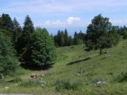 Clic pour agrandir l'image (1024x768 pixels; 169 KB)