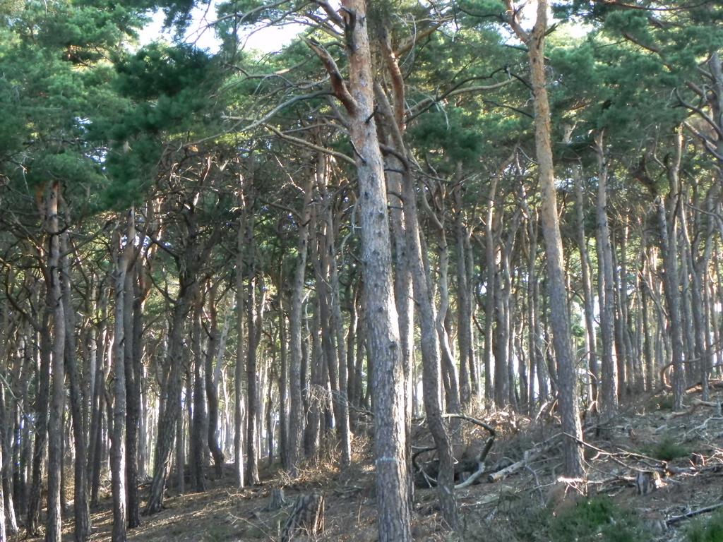 clic ici pour suivante