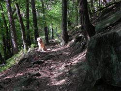 Clic pour agrandir l'image (1024x768 pixels; 198 KB)