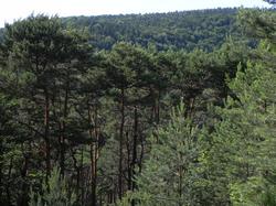 Clic pour agrandir l'image (1024x768 pixels; 209 KB)