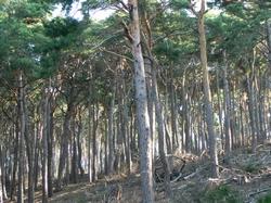 Clic pour agrandir l'image (1024x768 pixels; 190 KB)