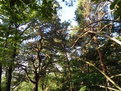 Clic pour agrandir l'image (1024x768 pixels; 276 KB)