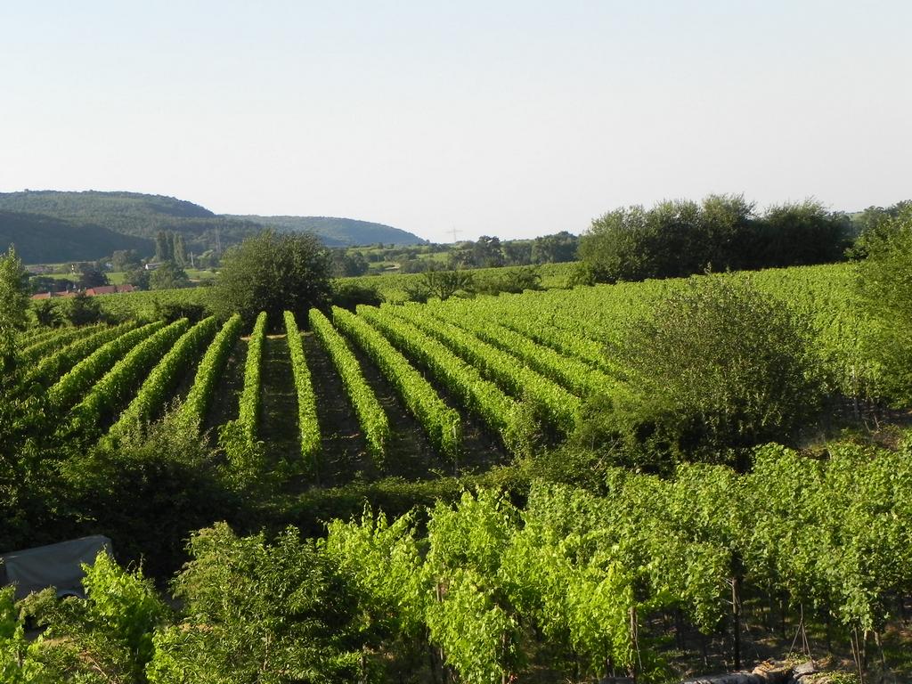 clic ici pour suivante