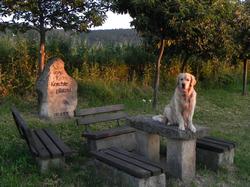 Clic pour agrandir l'image (1024x768 pixels; 171 KB)