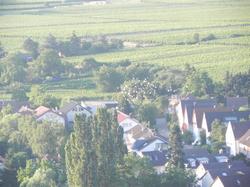 Clic pour agrandir l'image (1024x768 pixels; 136 KB)