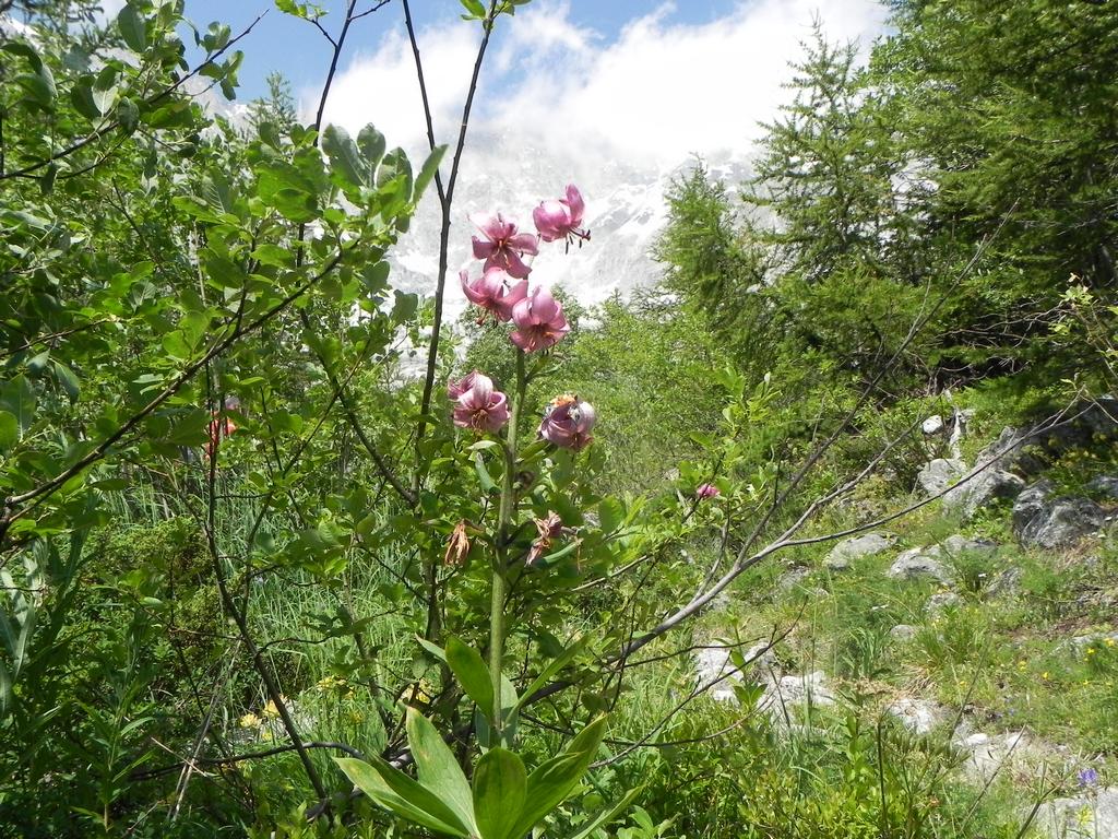 clic ici pour suivante