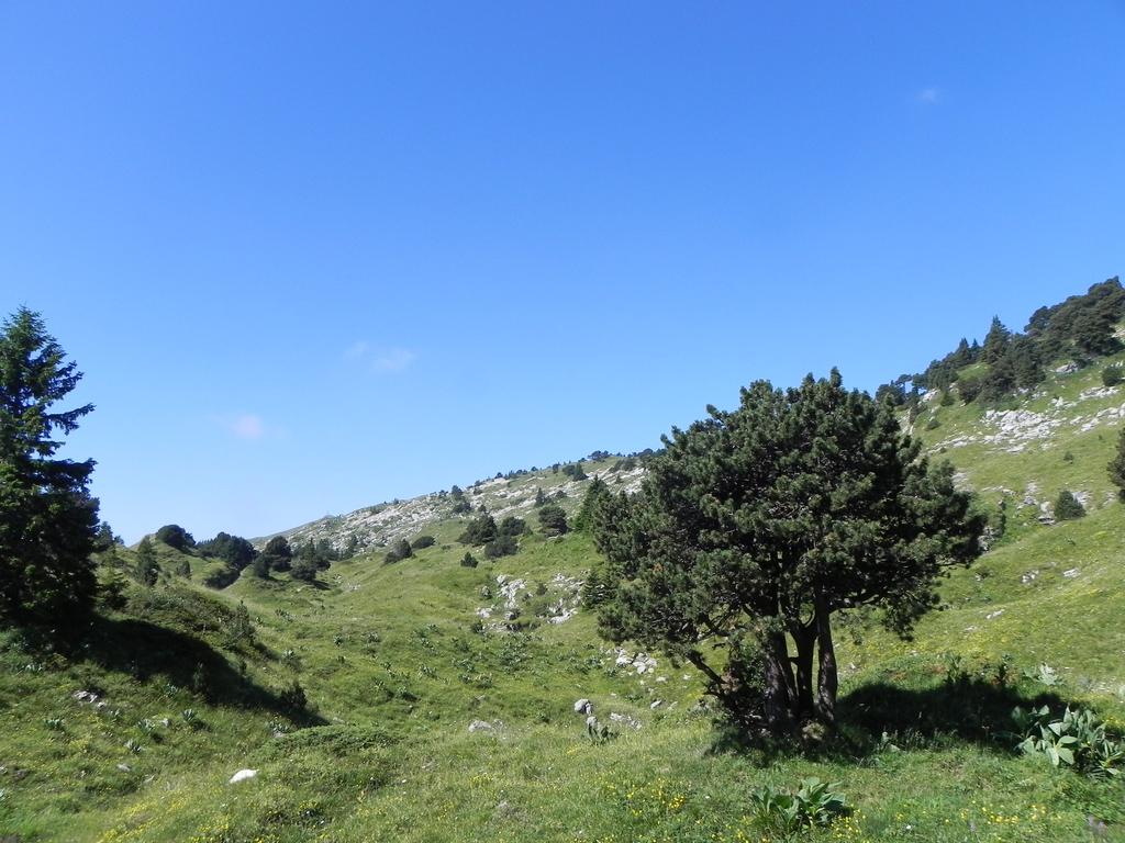 clic ici pour suivante