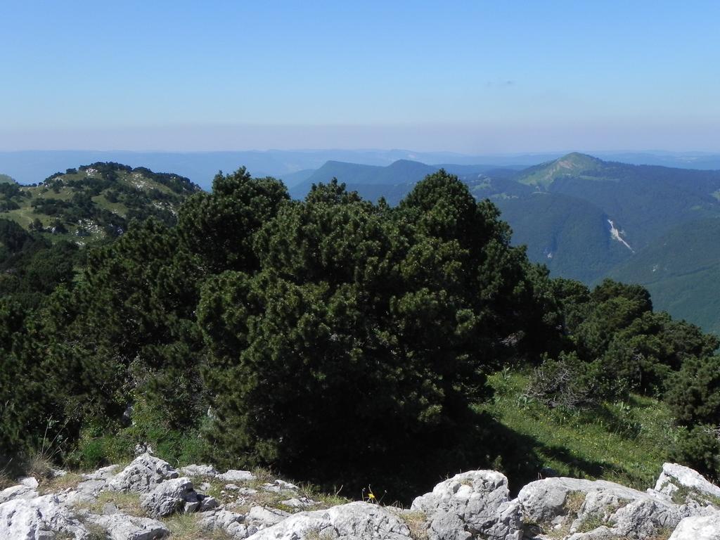 clic ici pour suivante