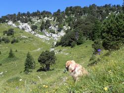 Clic pour agrandir l'image (1024x768 pixels; 221 KB)