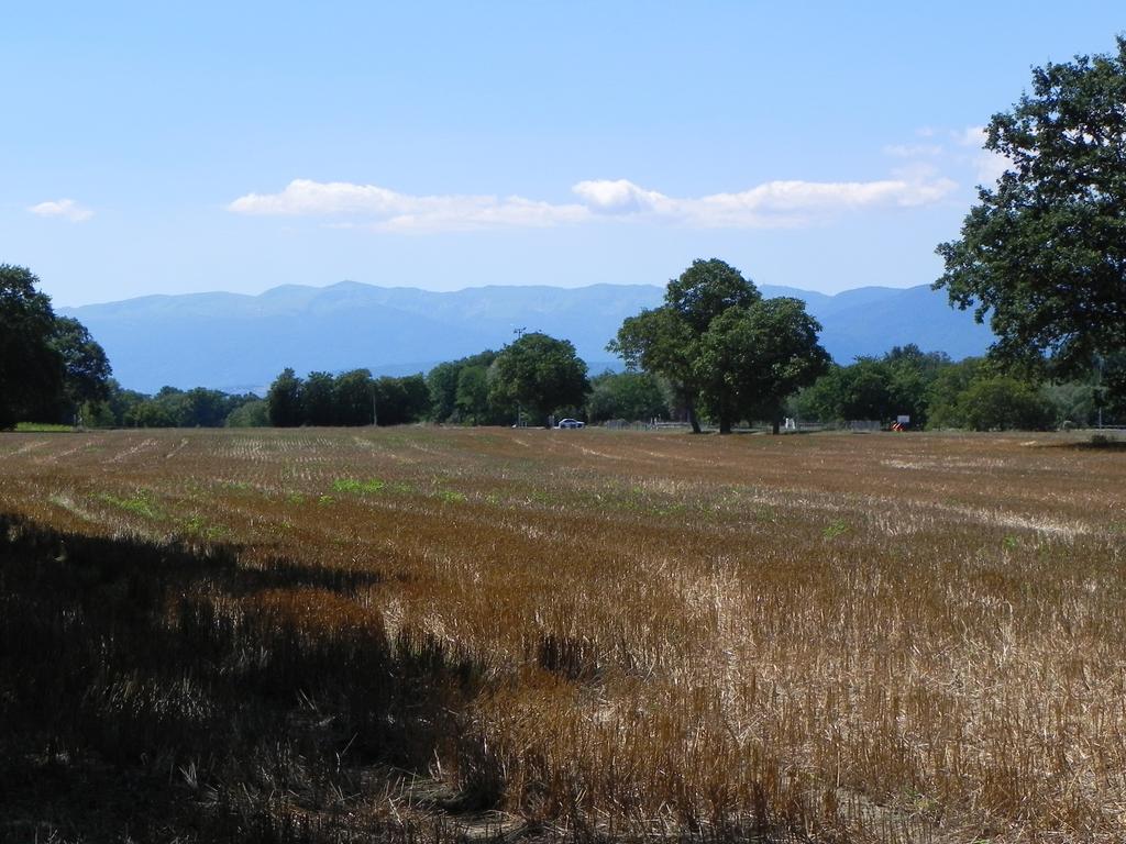 clic ici pour suivante