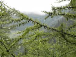 Clic pour agrandir l'image (1024x768 pixels; 134 KB)