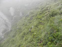 Clic pour agrandir l'image (1024x768 pixels; 140 KB)