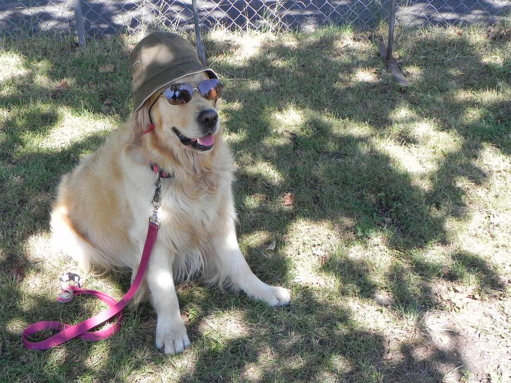 clic ici pour suivante