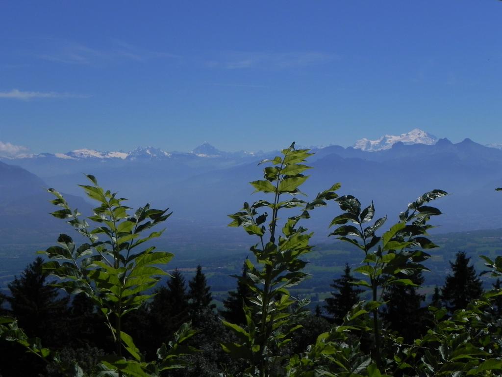 clic ici pour suivante